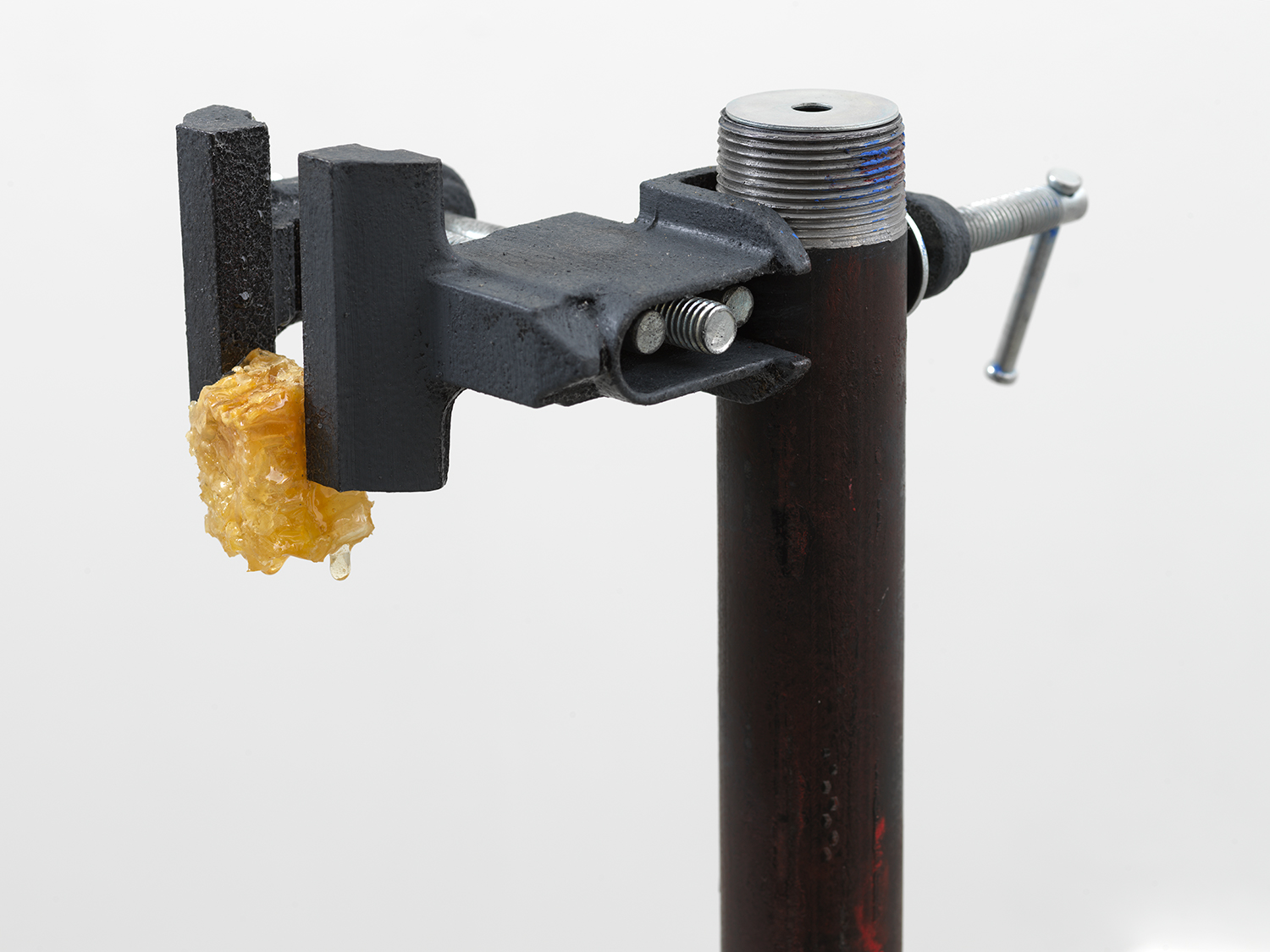 Photo of sculpture detailing honey-drip from vice